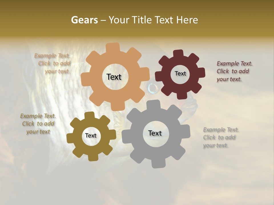 Group Isolated Bubbles PowerPoint Template