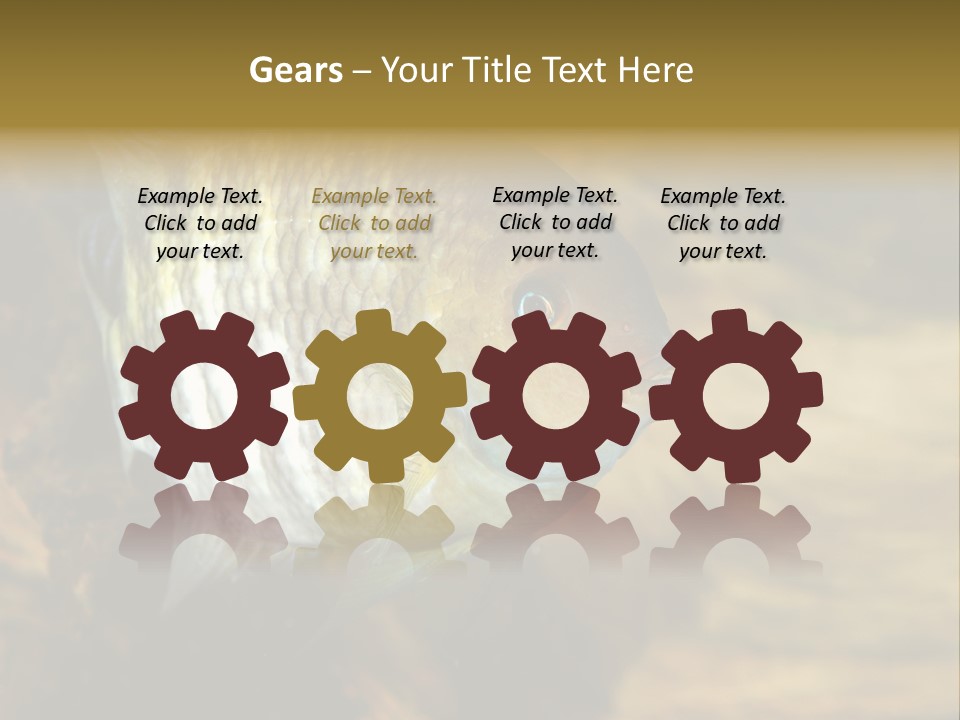 Group Isolated Bubbles PowerPoint Template