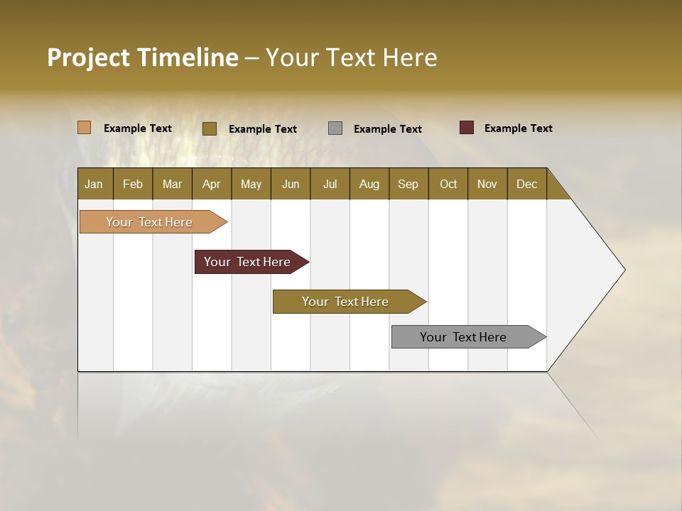 Group Isolated Bubbles PowerPoint Template