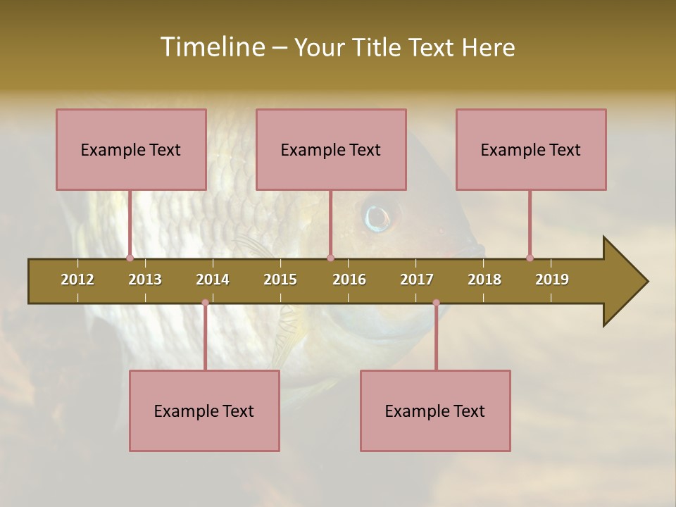 Group Isolated Bubbles PowerPoint Template