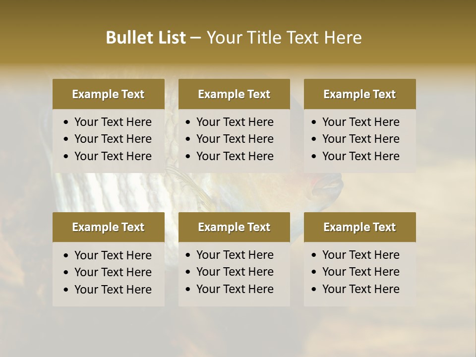 Group Isolated Bubbles PowerPoint Template