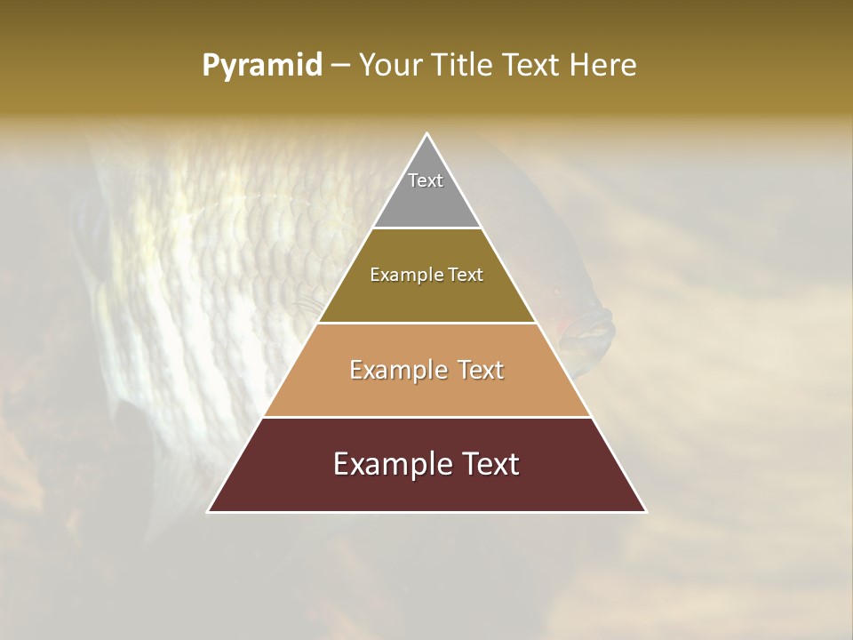 Group Isolated Bubbles PowerPoint Template