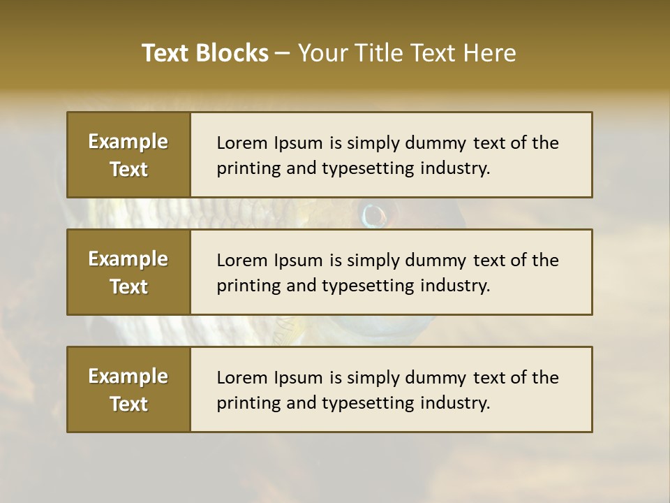Group Isolated Bubbles PowerPoint Template