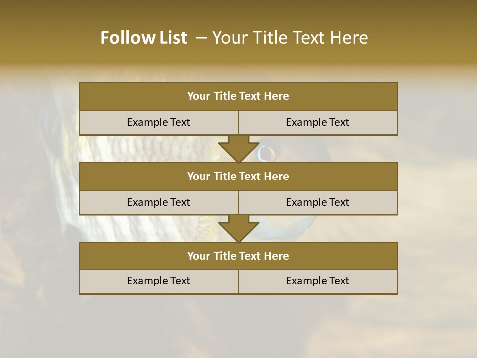 Group Isolated Bubbles PowerPoint Template