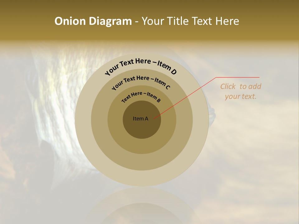 Group Isolated Bubbles PowerPoint Template
