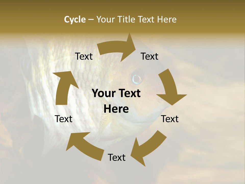 Group Isolated Bubbles PowerPoint Template