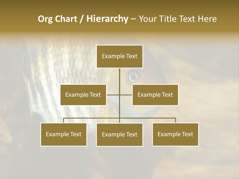 Group Isolated Bubbles PowerPoint Template