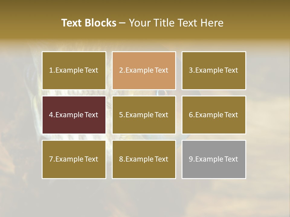 Group Isolated Bubbles PowerPoint Template