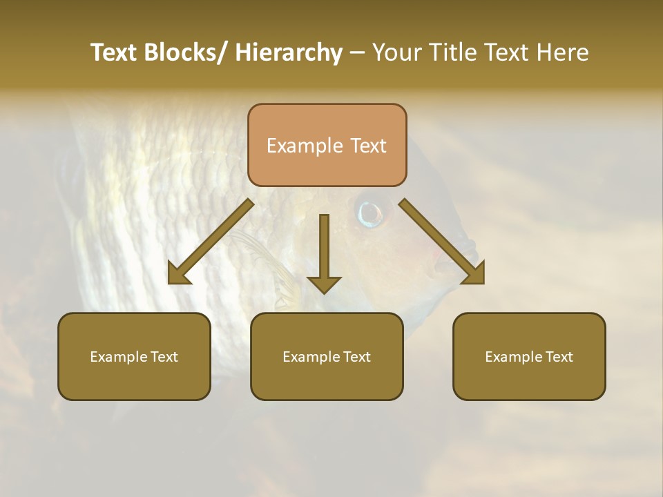 Group Isolated Bubbles PowerPoint Template