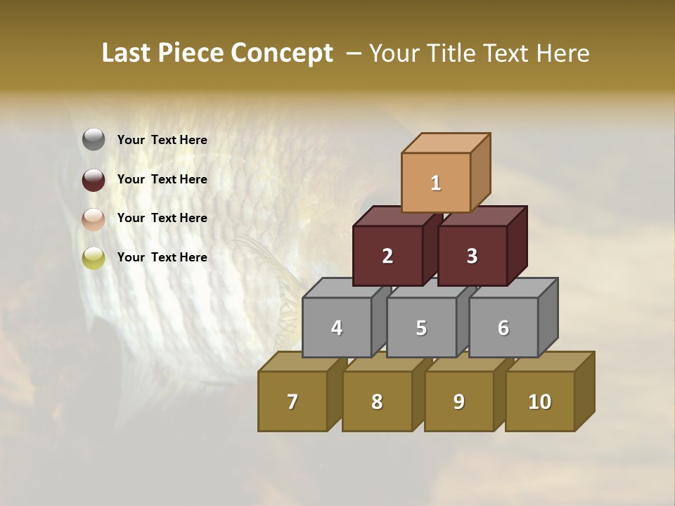 Group Isolated Bubbles PowerPoint Template