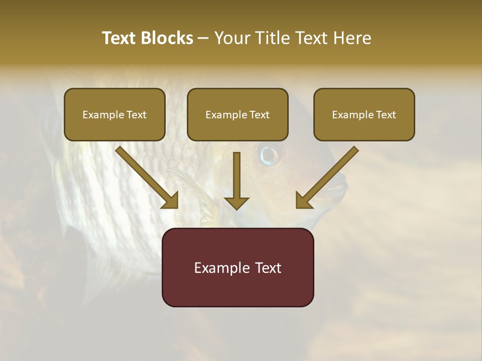 Group Isolated Bubbles PowerPoint Template