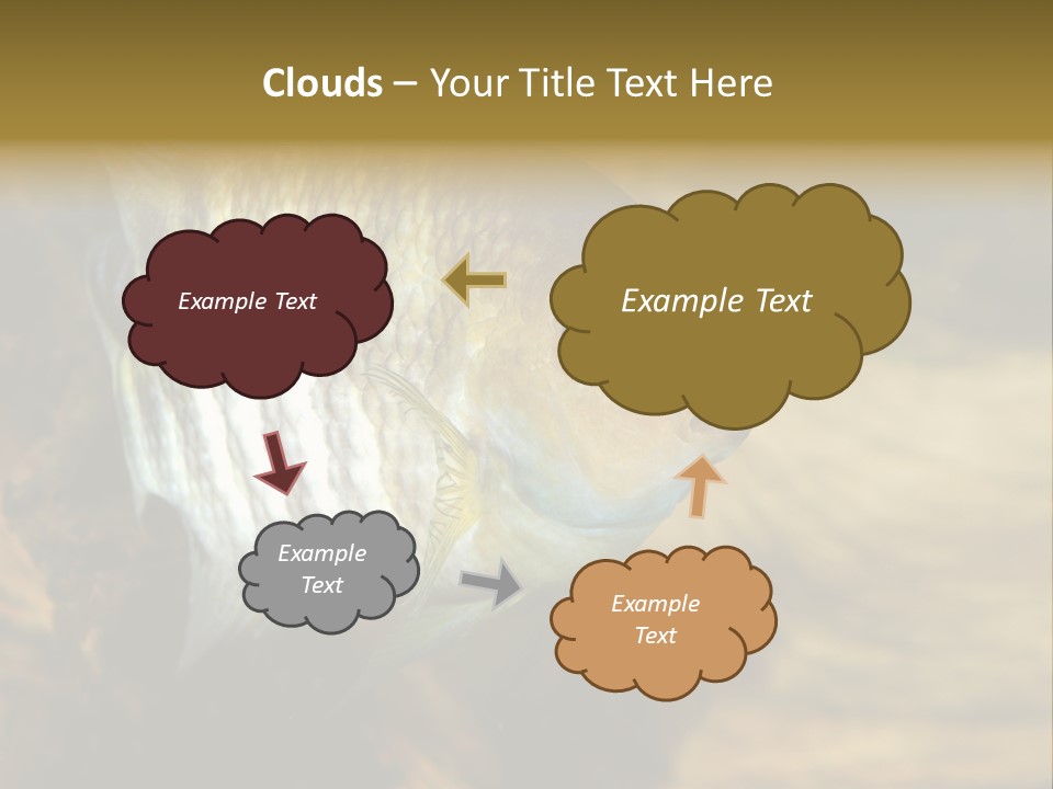 Group Isolated Bubbles PowerPoint Template