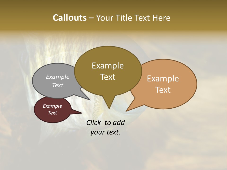 Group Isolated Bubbles PowerPoint Template