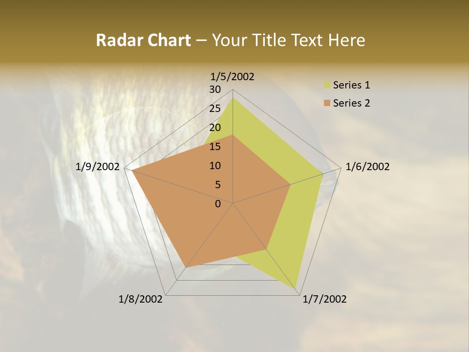 Group Isolated Bubbles PowerPoint Template