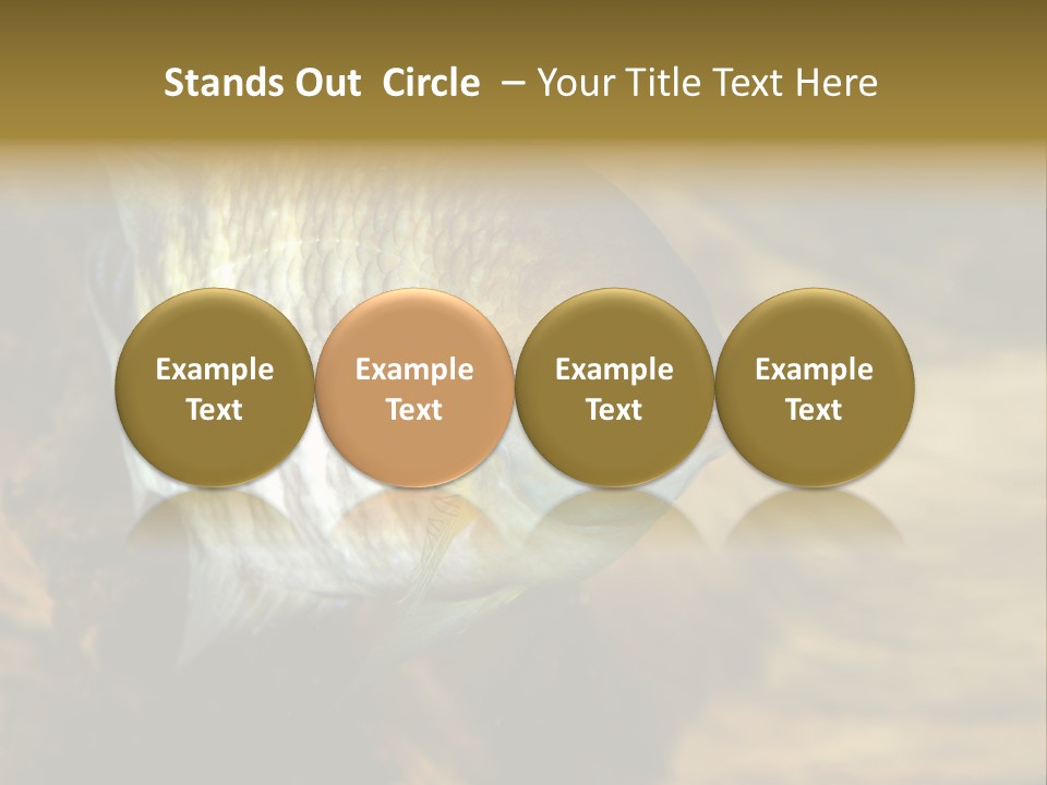 Group Isolated Bubbles PowerPoint Template