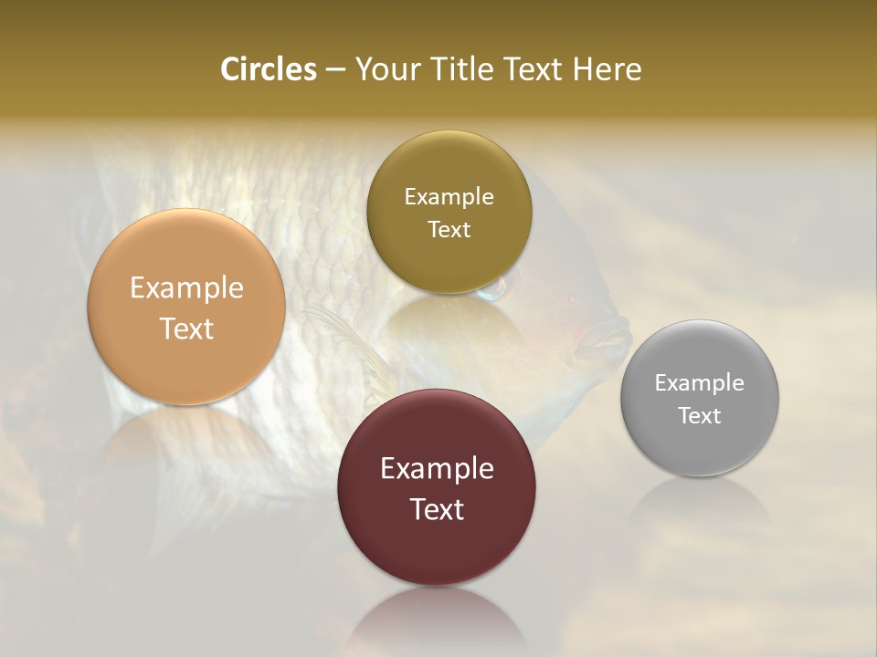Group Isolated Bubbles PowerPoint Template