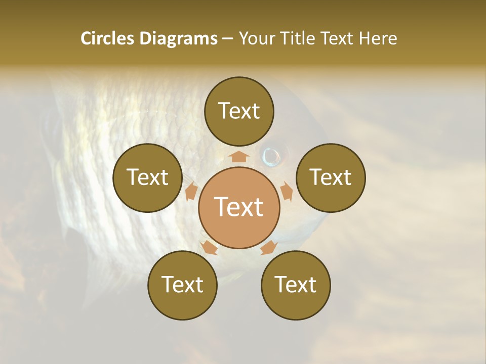 Group Isolated Bubbles PowerPoint Template