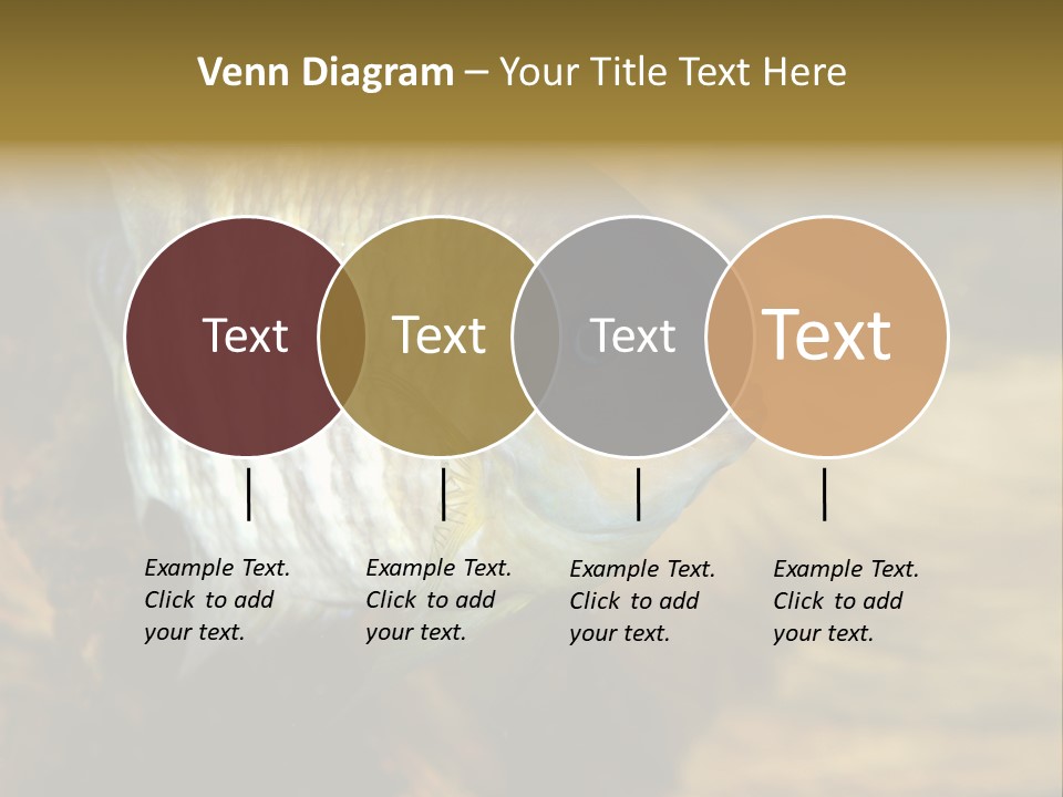 Group Isolated Bubbles PowerPoint Template