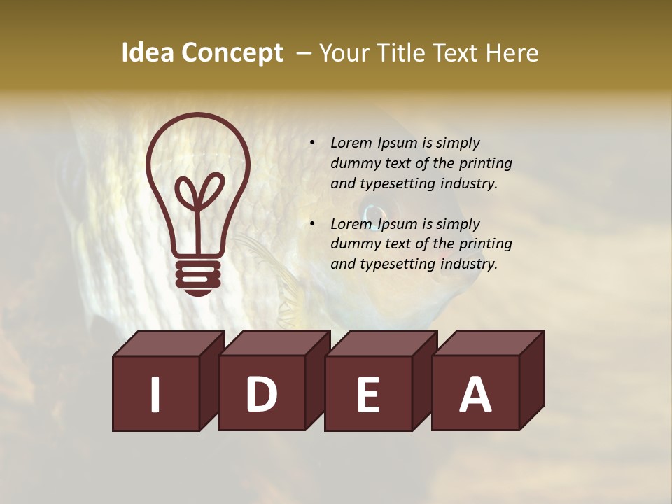 Group Isolated Bubbles PowerPoint Template