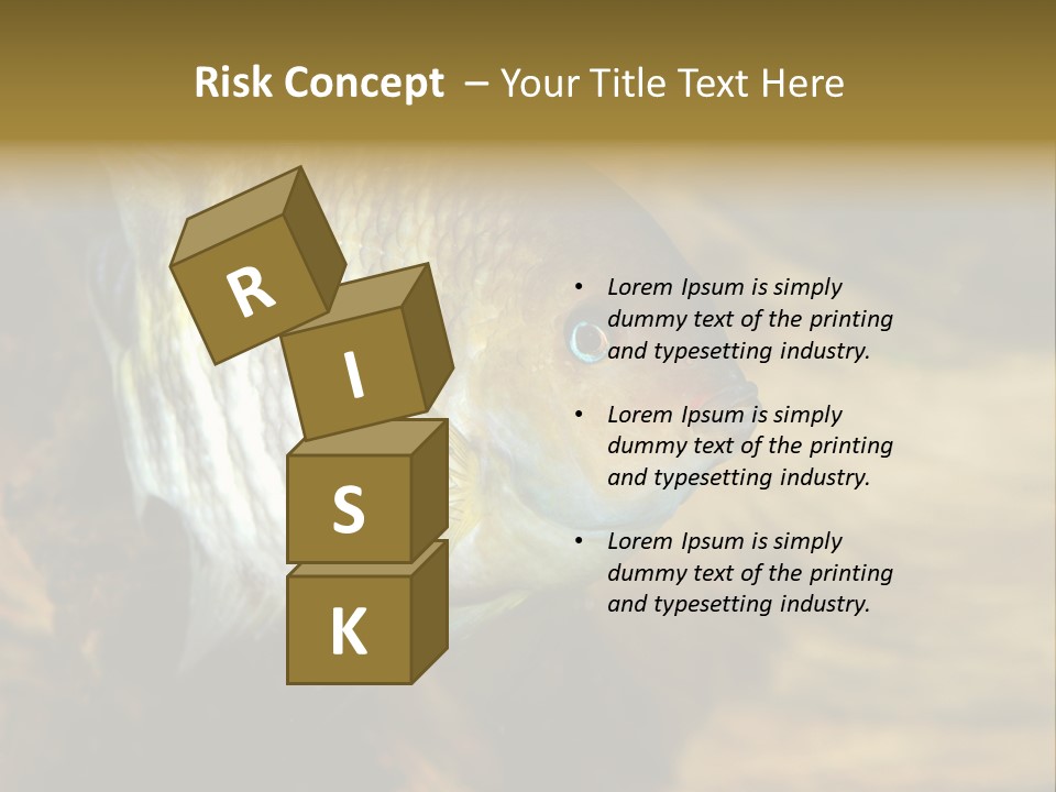 Group Isolated Bubbles PowerPoint Template