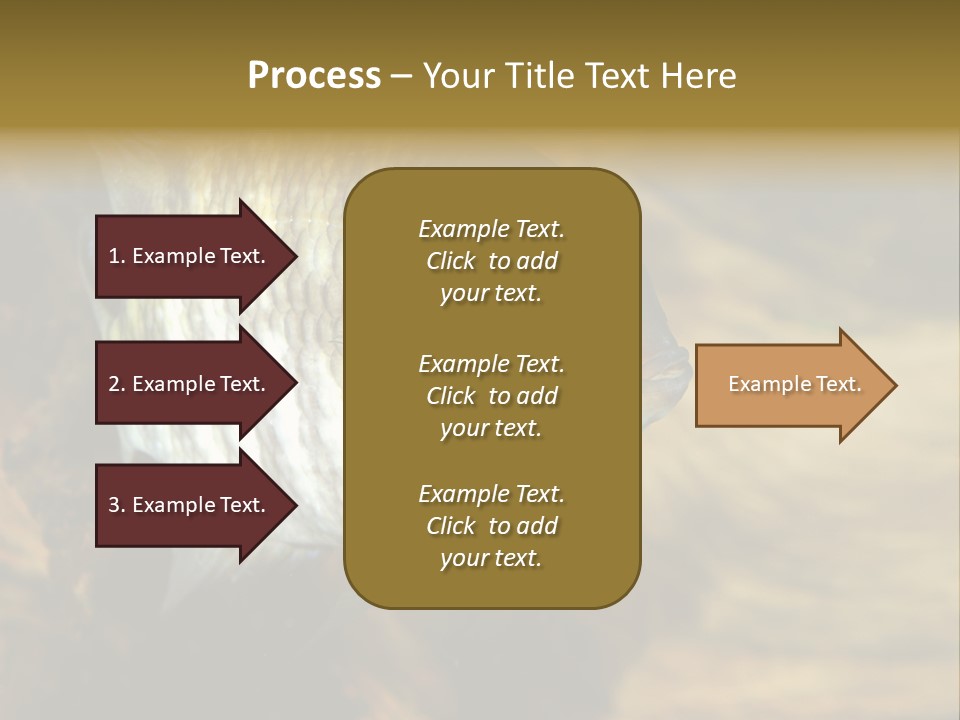 Group Isolated Bubbles PowerPoint Template