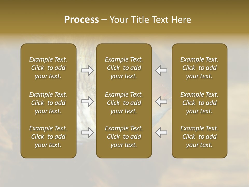 Group Isolated Bubbles PowerPoint Template
