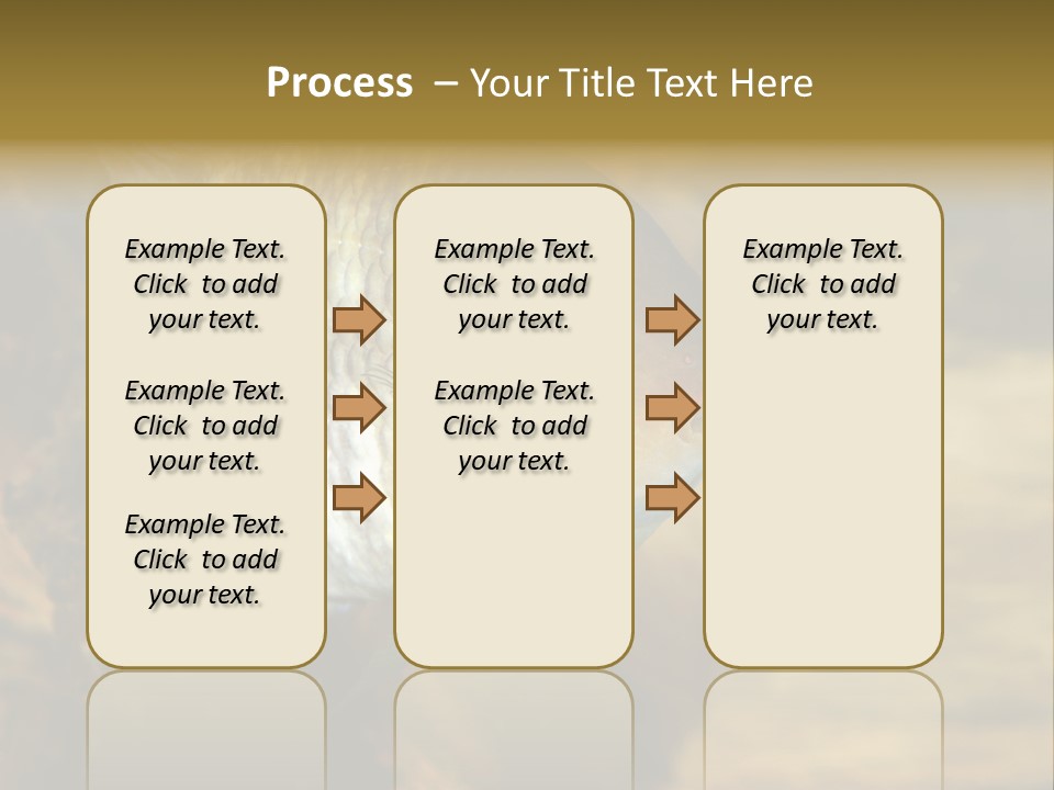 Group Isolated Bubbles PowerPoint Template
