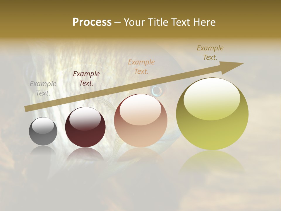 Group Isolated Bubbles PowerPoint Template