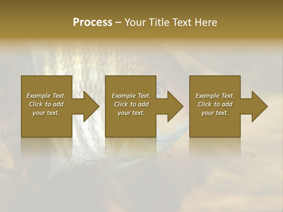 Group Isolated Bubbles PowerPoint Template