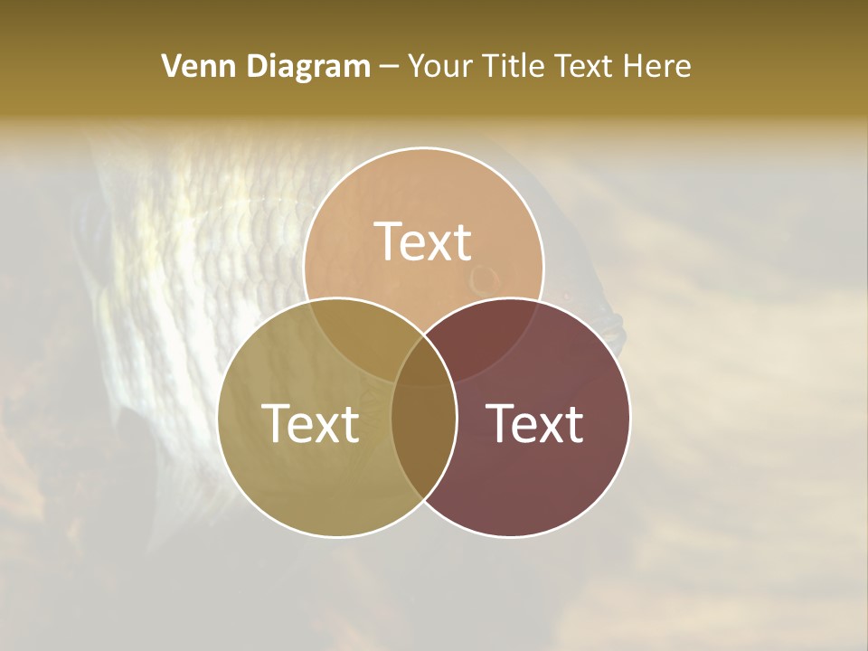 Group Isolated Bubbles PowerPoint Template