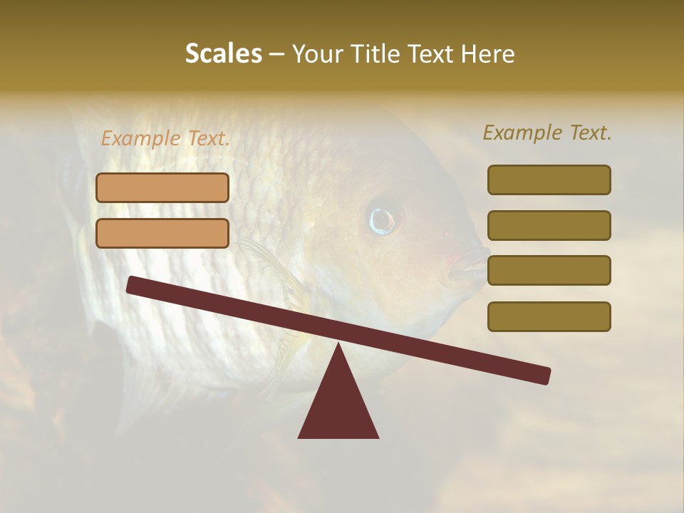 Group Isolated Bubbles PowerPoint Template
