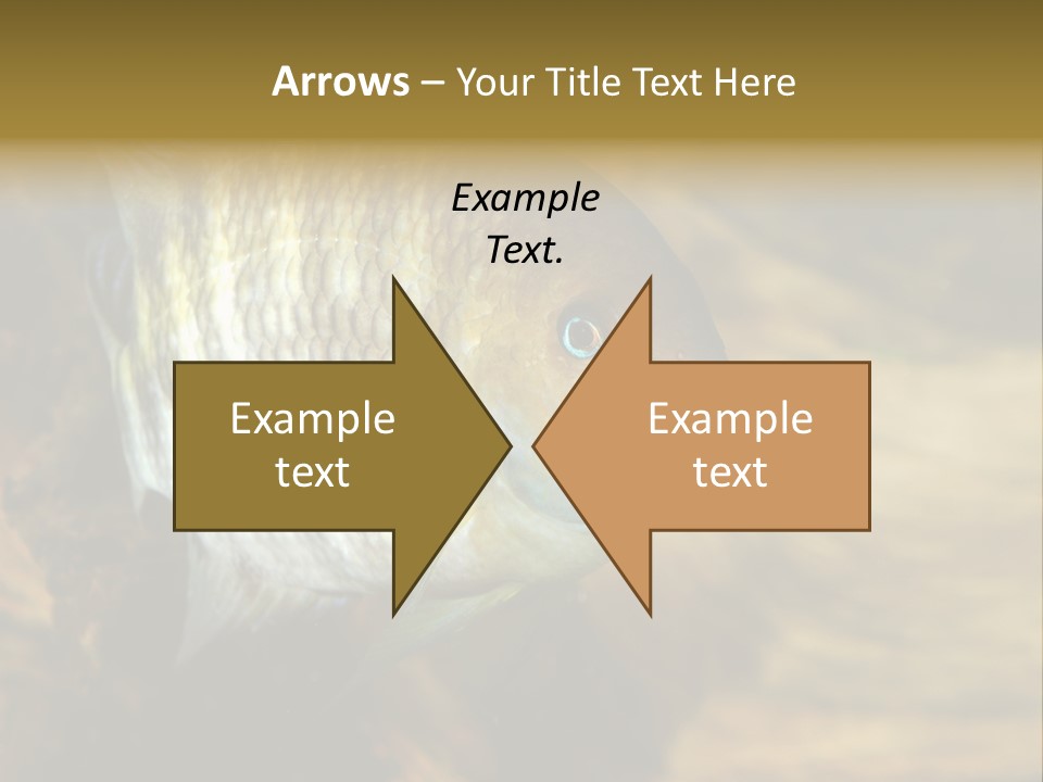 Group Isolated Bubbles PowerPoint Template