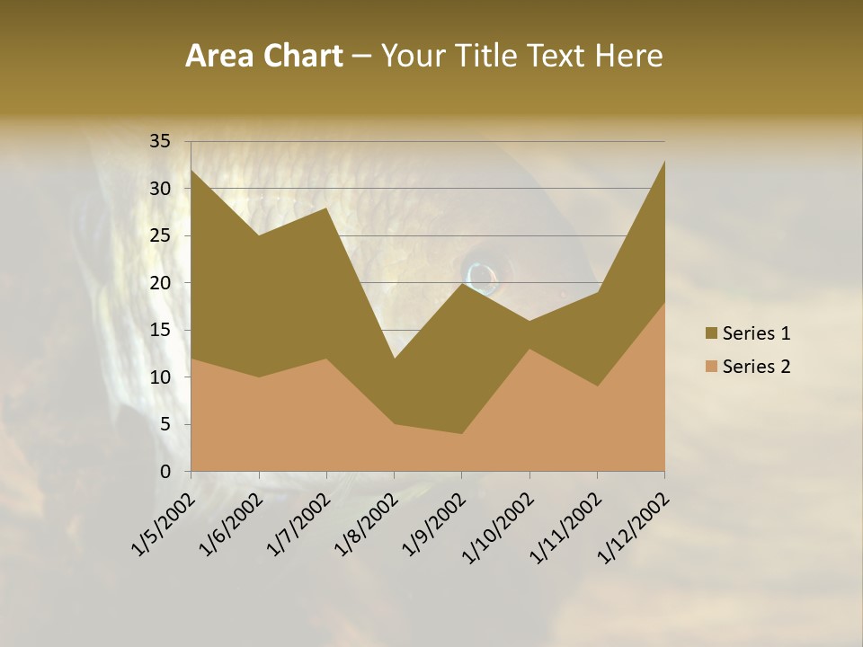 Group Isolated Bubbles PowerPoint Template