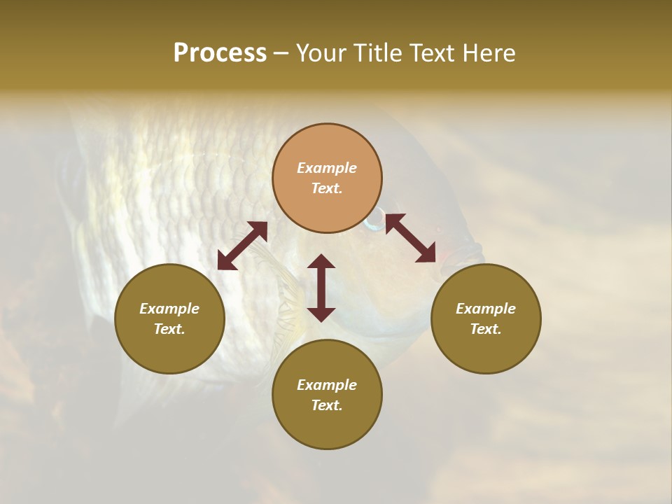 Group Isolated Bubbles PowerPoint Template