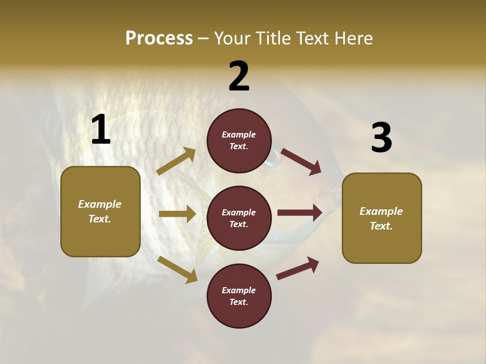 Group Isolated Bubbles PowerPoint Template