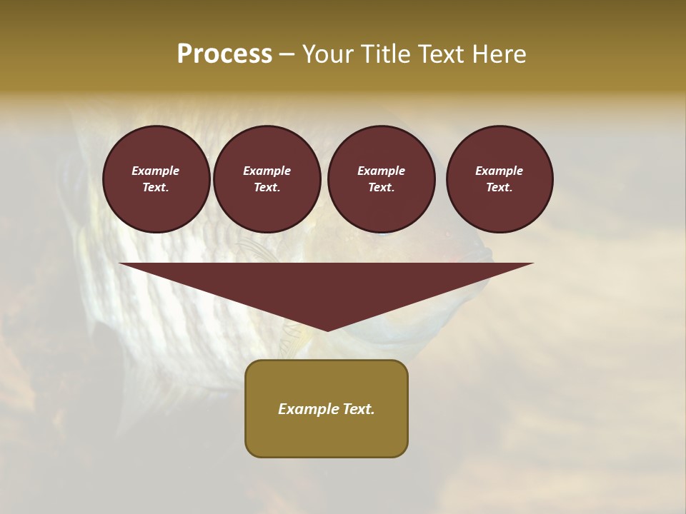 Group Isolated Bubbles PowerPoint Template