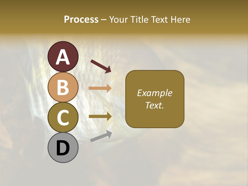 Group Isolated Bubbles PowerPoint Template