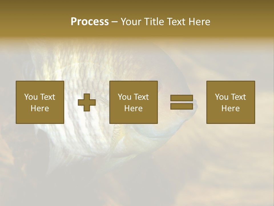 Group Isolated Bubbles PowerPoint Template