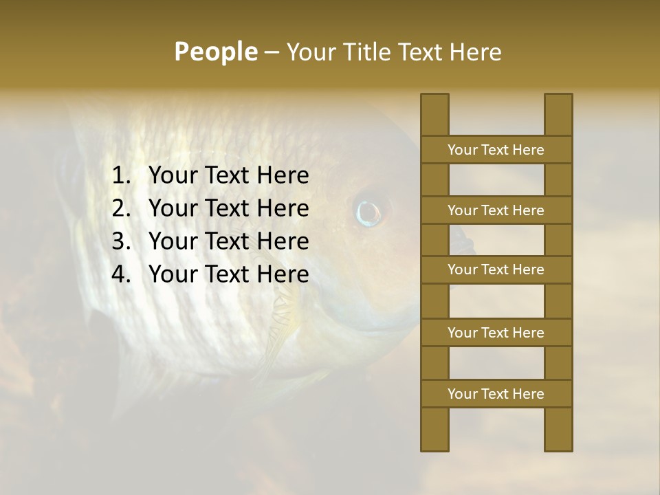 Group Isolated Bubbles PowerPoint Template