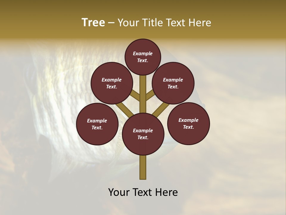 Group Isolated Bubbles PowerPoint Template