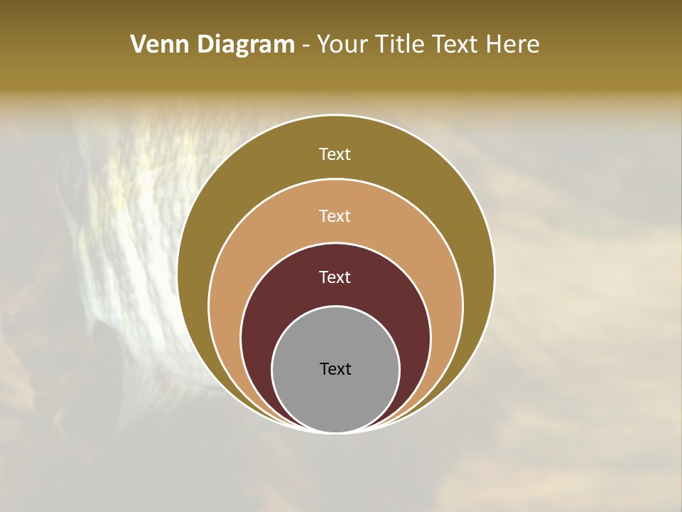 Group Isolated Bubbles PowerPoint Template