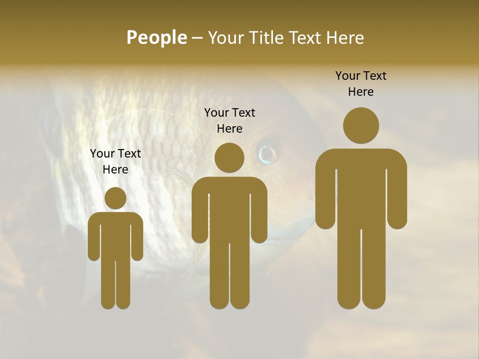 Group Isolated Bubbles PowerPoint Template