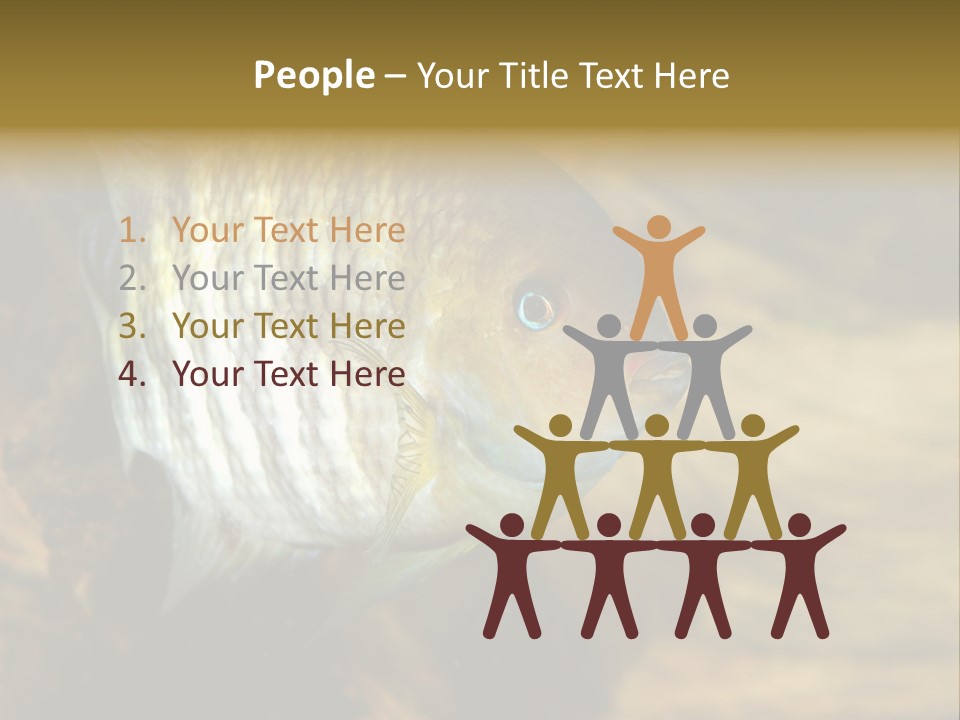 Group Isolated Bubbles PowerPoint Template