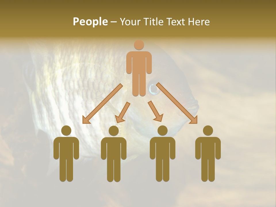 Group Isolated Bubbles PowerPoint Template