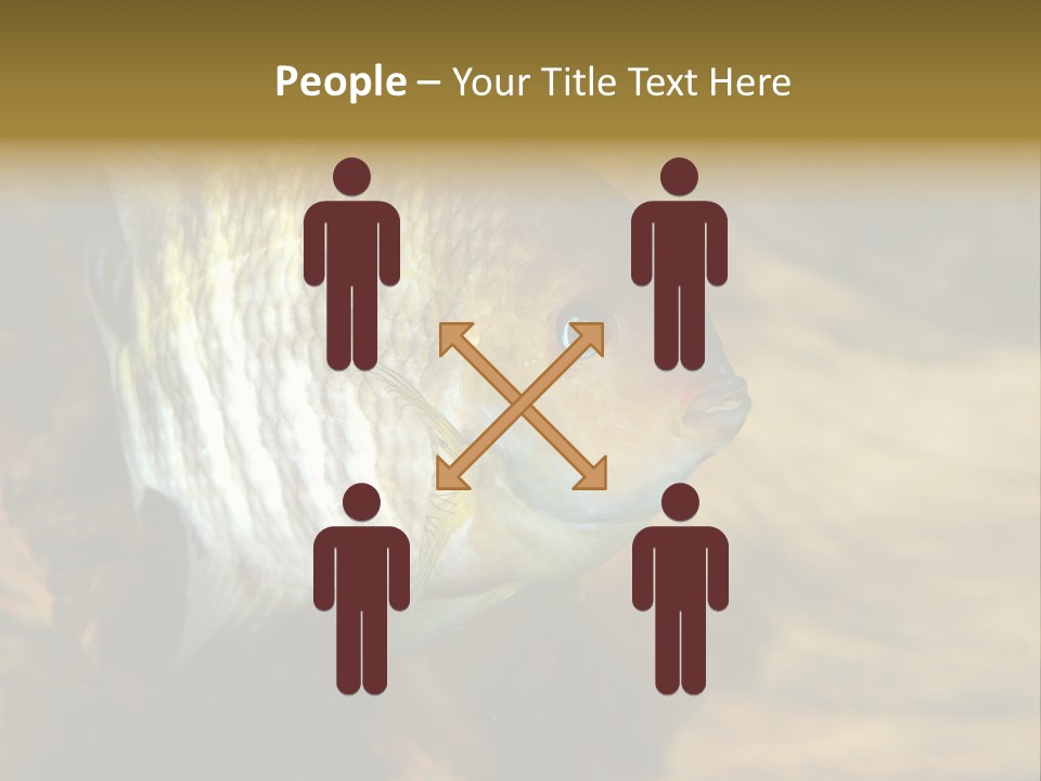 Group Isolated Bubbles PowerPoint Template