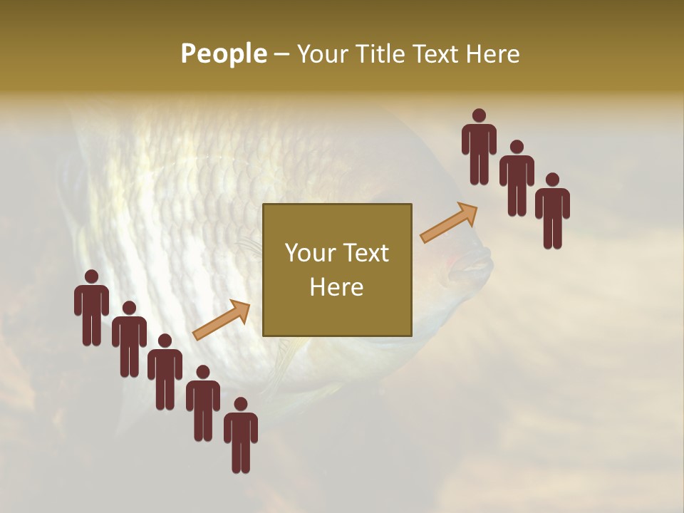 Group Isolated Bubbles PowerPoint Template