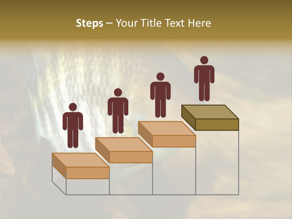 Group Isolated Bubbles PowerPoint Template