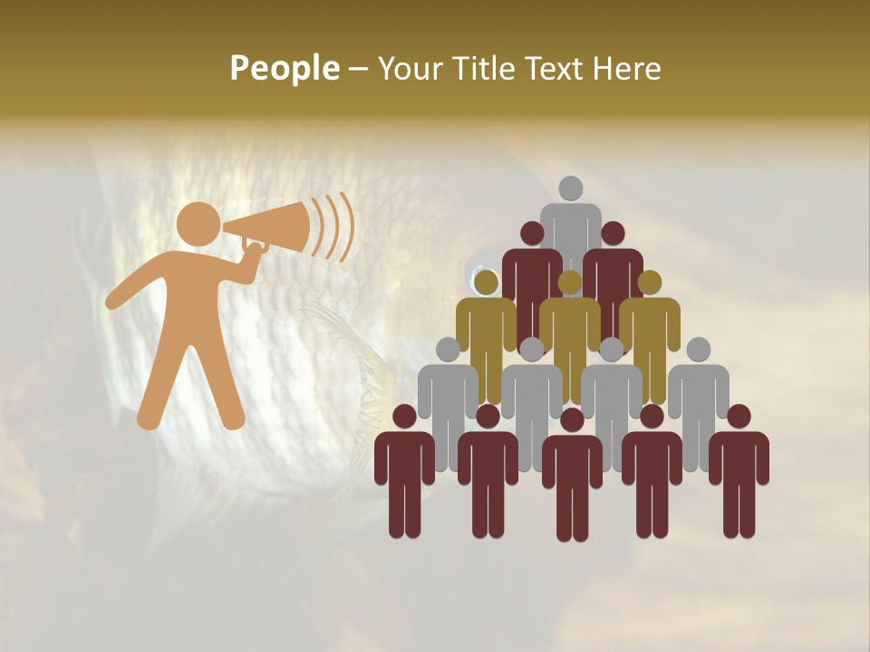 Group Isolated Bubbles PowerPoint Template