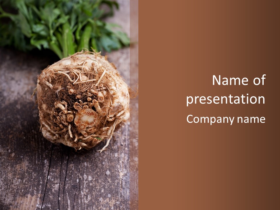 Wooden Vegetarian Leaf PowerPoint Template