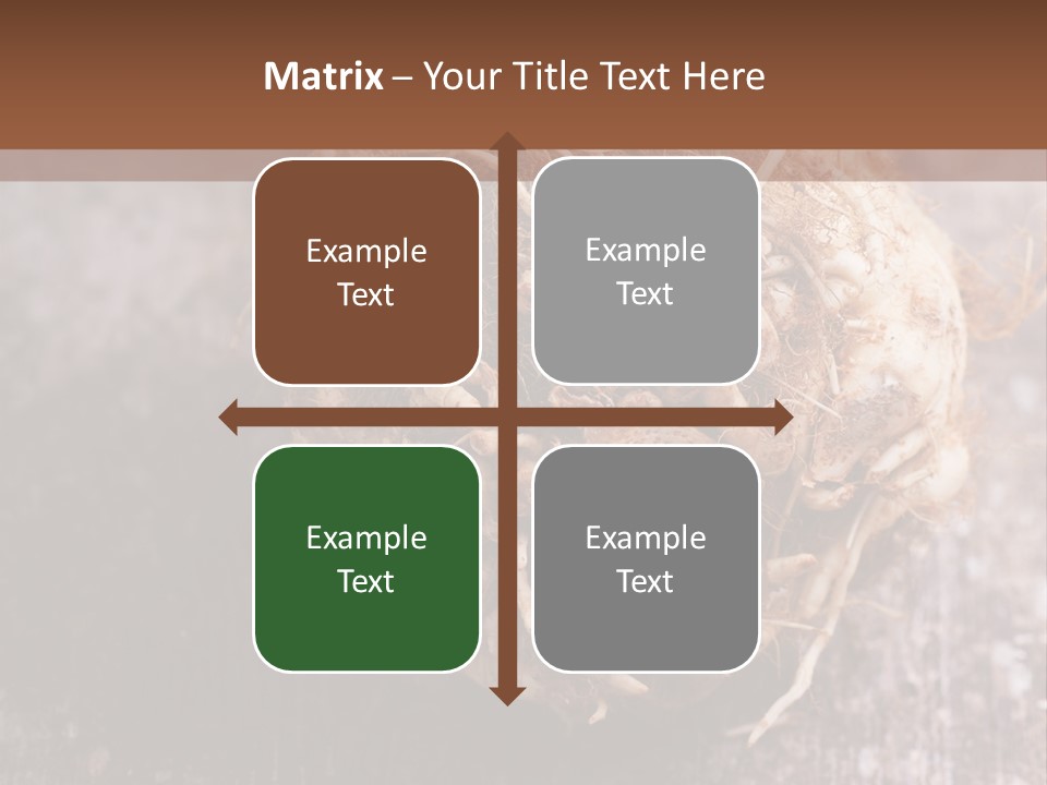Wooden Vegetarian Leaf PowerPoint Template